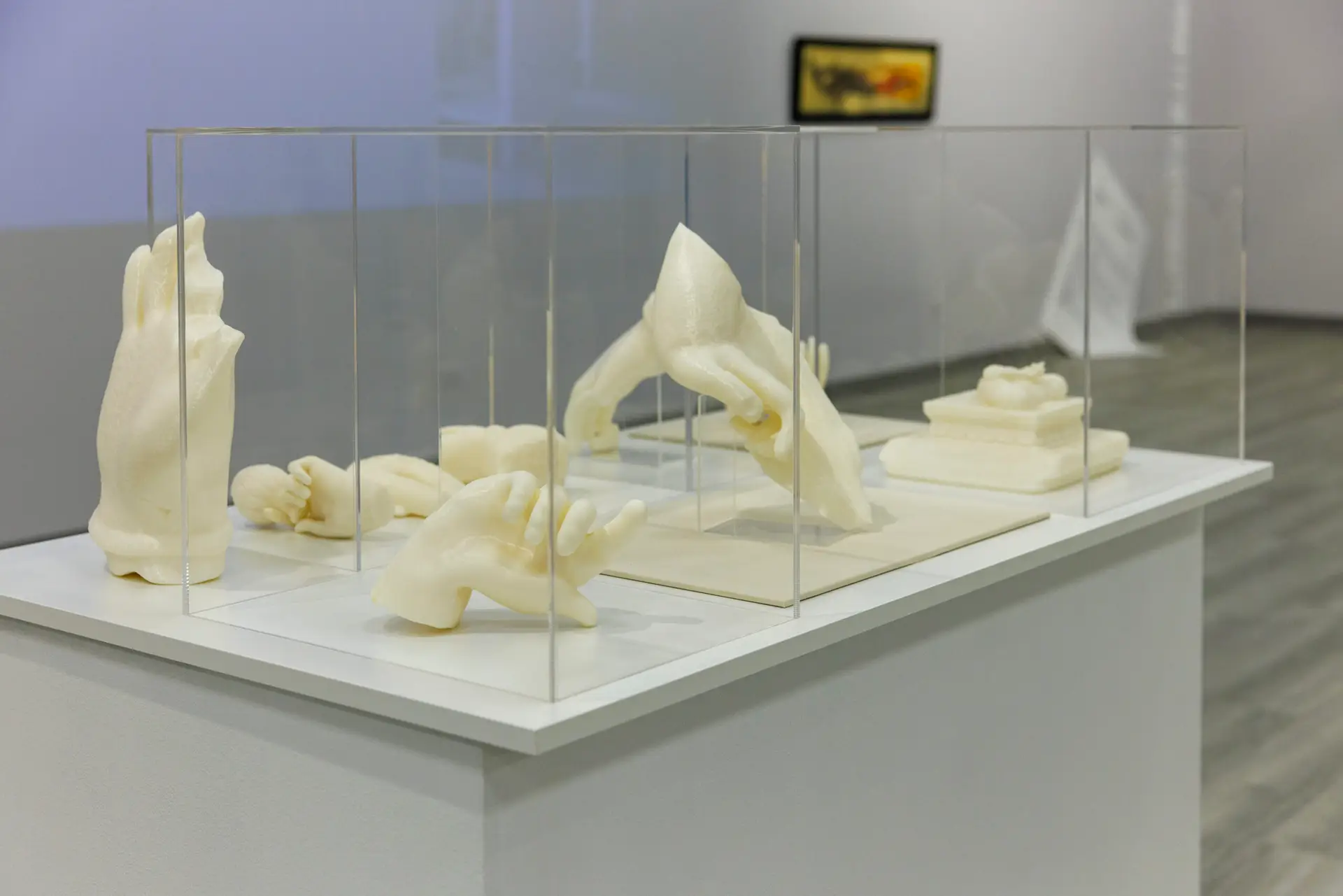 Ivory colored sculptures on a white square pedestal with glass encasing.